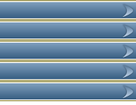 Get Adobe Flash player